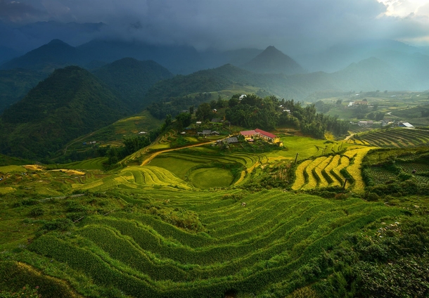 A school near a terraced rice field in Vietnam  photo by sarawut Intarob