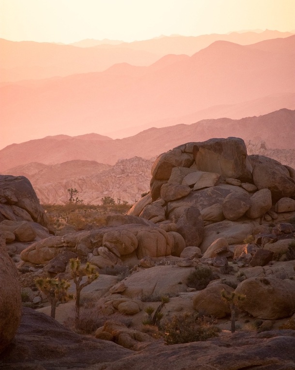 A serene colorful sunrise over magnificent rocks and boulders in Joshua Tree National Park  liamsearphoto