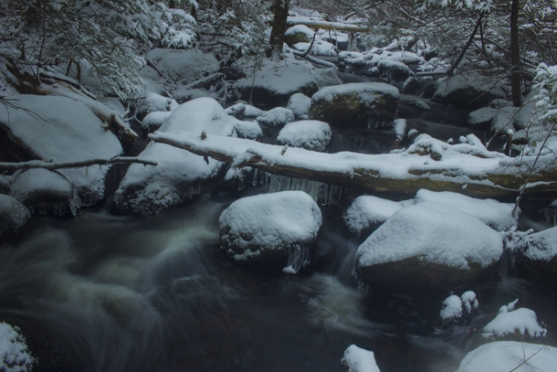A small frozen creek in Natchaug State Forest CT 