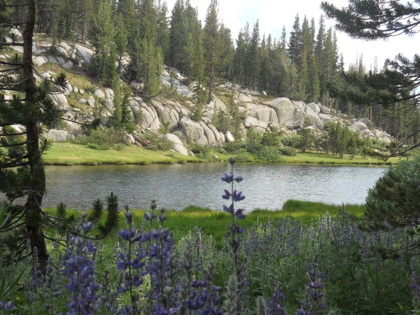 A Small Lake near Vogelsang Mountain Yosemite National Park 