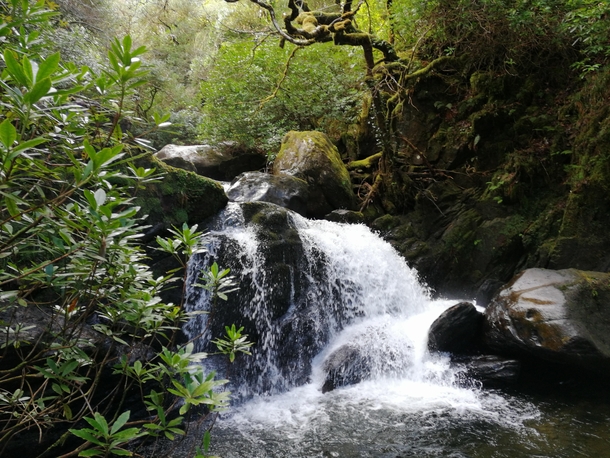 A small waterfall I found a few steps away from the official path in the Killarney National Park Ireland 