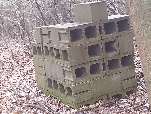 A stack of cinder blocks I saw while wandering in the forest Im not sure why this would be here there is nothing else around it