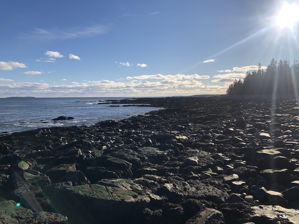 A sunny winter day on the rocky coast of Acadia National Park Southwest Harbor Maine 