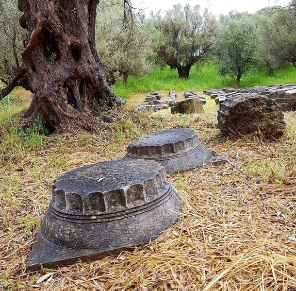 A temple built  years ago Abandoned  years ago Remaining pieces rest with old olive trees Sparta Greece