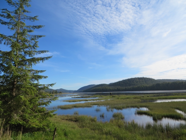 A view of Hansens Lagoon from off the trail in Cape Scott Provincial Park BC It was a beautiful and calm evening 