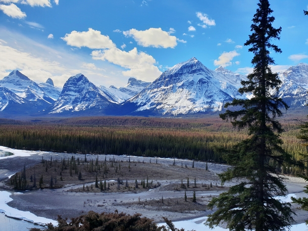 A viewpoint alongside the Icefields Parkway Alberta x 