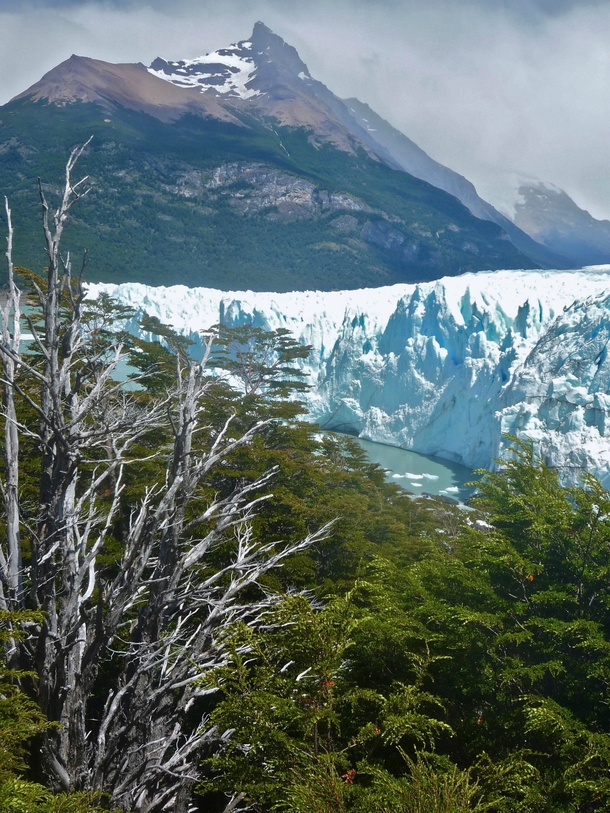A Wall of Ice Perito Moreno Glacier Argentina 