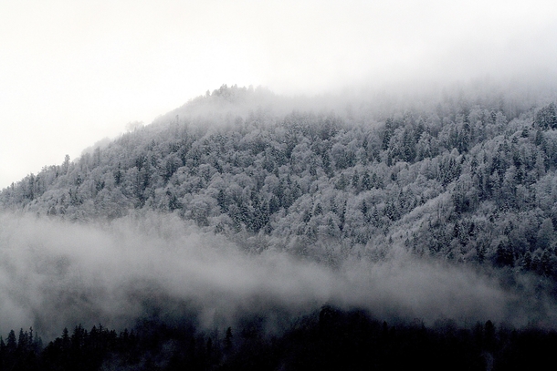 A winter mountain forest in Switzerland Schwyz Kanton