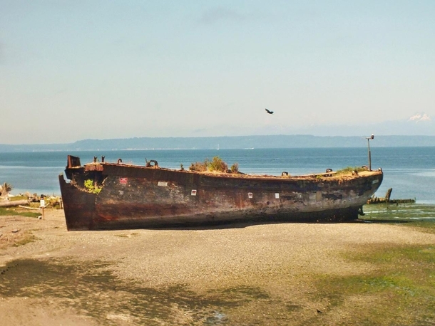 Abandoned boat near Everett WA 