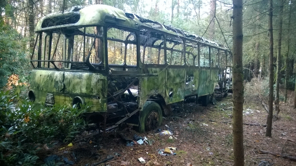 Abandoned bus I found in the woods 