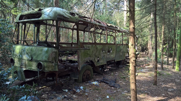 abandoned bus in the woods  the Netherlands 