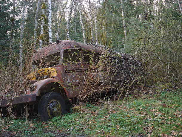 Abandoned Bus x
