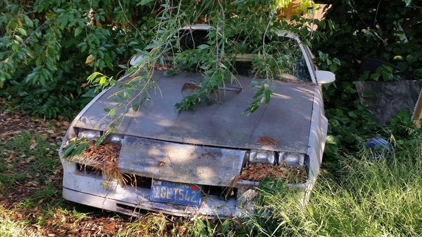 Abandoned Camaro 