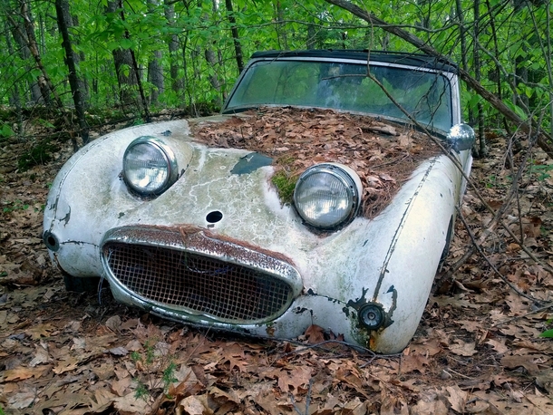 Abandoned car Still smiling after all these years 