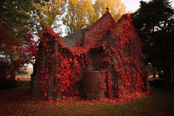 Abandoned church in autumn Photo by Cain Pascoe Australia 