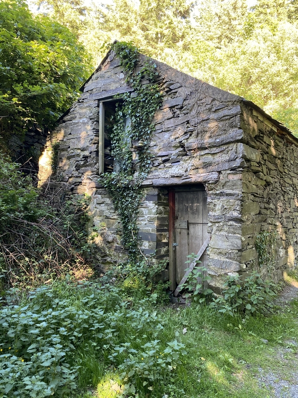 Abandoned Cottage in Bangor North Wales OC