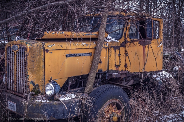 Abandoned Diesel truck tucked away in the woods 