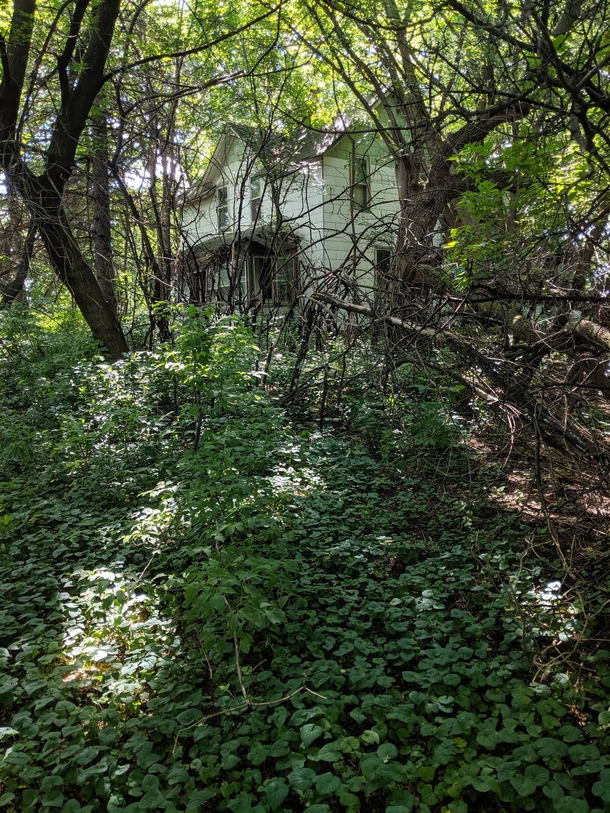 Abandoned farmhouse in Minnesota About to be torn down for a huge McMansion development