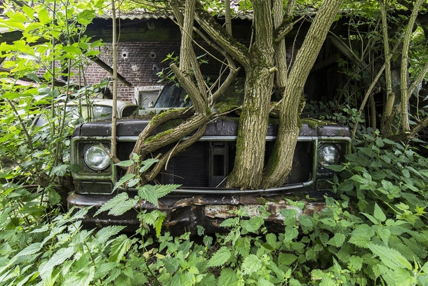 Abandoned Garage in a Place in Belgium