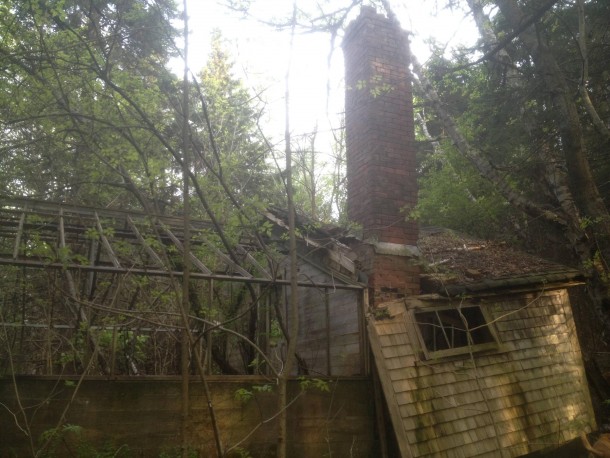 Abandoned greenhouse in the woods behind a friends house  x  OC