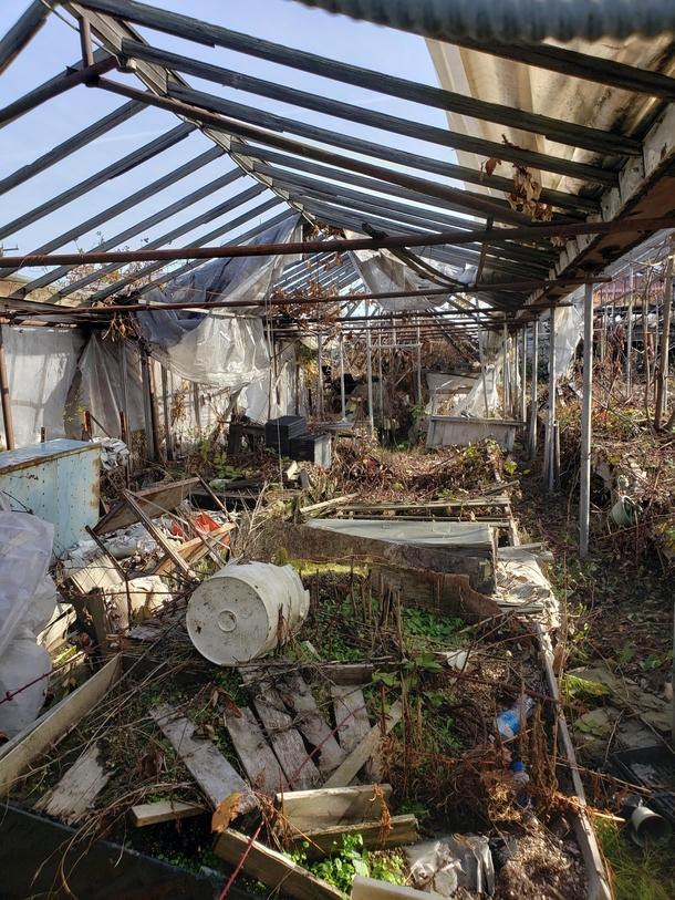 Abandoned greenhouse interior Seattle