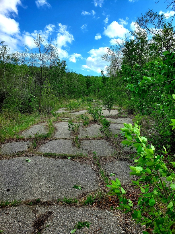 Abandoned Highway near Fairy Hill Saskatchewan