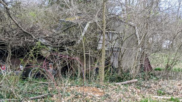Abandoned house and car hidden in the underbrushin Ky