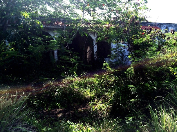 Abandoned House in Puerto Rico Album with context in comments 