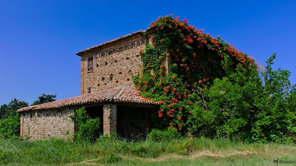 Abandoned House of flowers Photographed by Vincenzo Ghezzi 