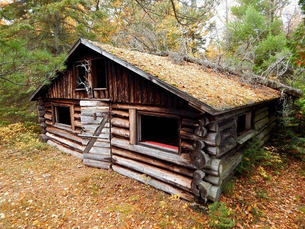 Abandoned hunting cabin in the north woods of Wisconsin 