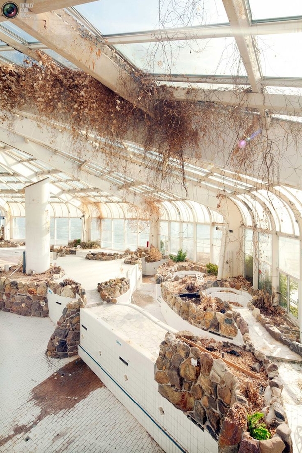 Abandoned indoor tropical pool in Rotterdam Holland By Frank Hanswijk 