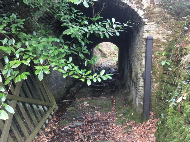 Abandoned livestock tunnel that runs under a country lane Note the grooves in the bedrock worn by iron-tyred cartwheels