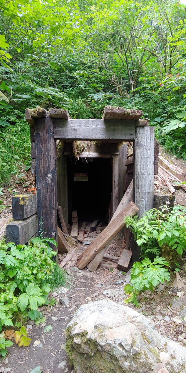 Abandoned mineshaft entrance up behind Juneau Alaska