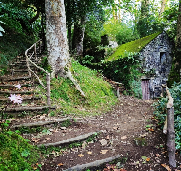 Abandoned mossy Mill Azores x