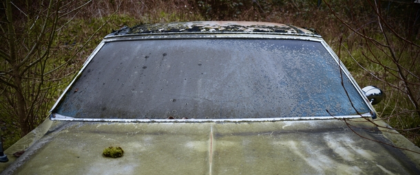 Abandoned Oldsmobile Toronado in a Field