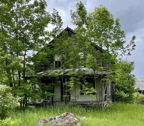 Abandoned overgrown farmhouse NE Wisconsin USA