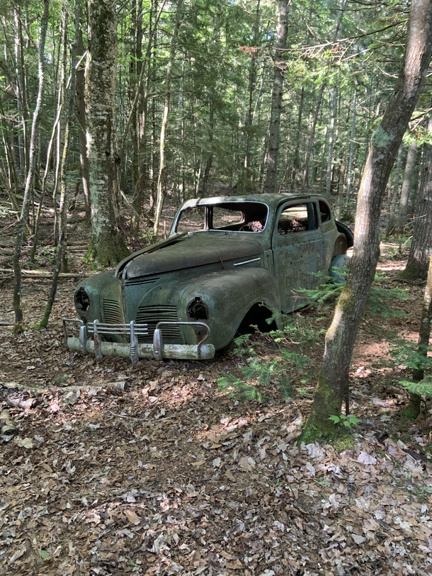 Abandoned  Plymouth I found while backpacking through pictures rocks