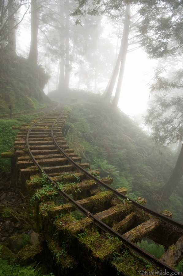 Abandoned railroad in a forest in Taiwan  x-post of a repost from rpics