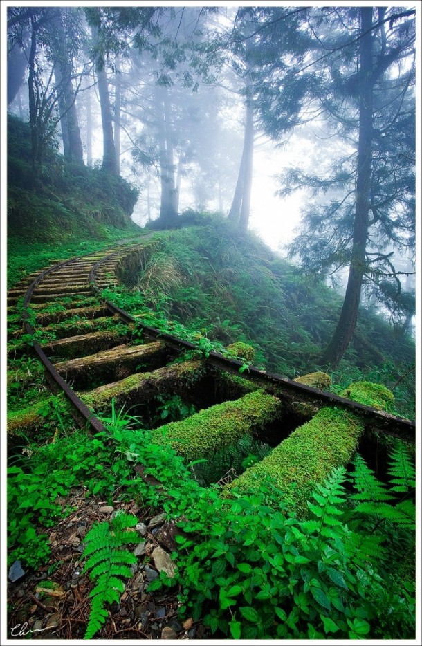 Abandoned railroad in China 