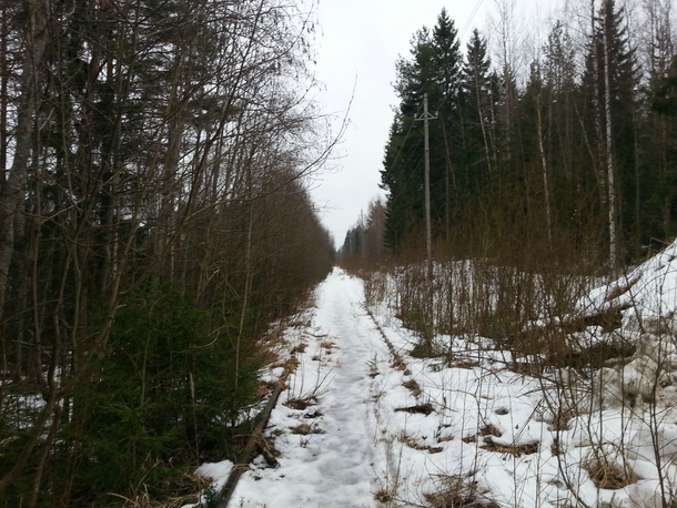 Abandoned railroad track in Pieksmki Finland  OC by Eetu Hartikainen