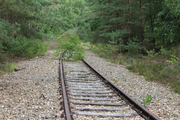 Abandoned railroad track Iron Rhine Netherlands
