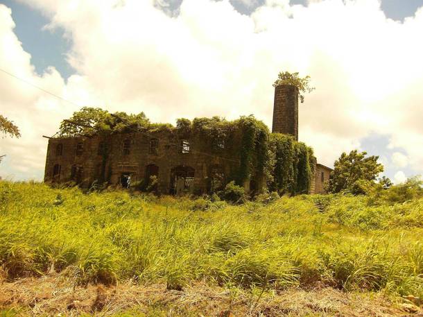 Abandoned Rum Distillery in Barbados 