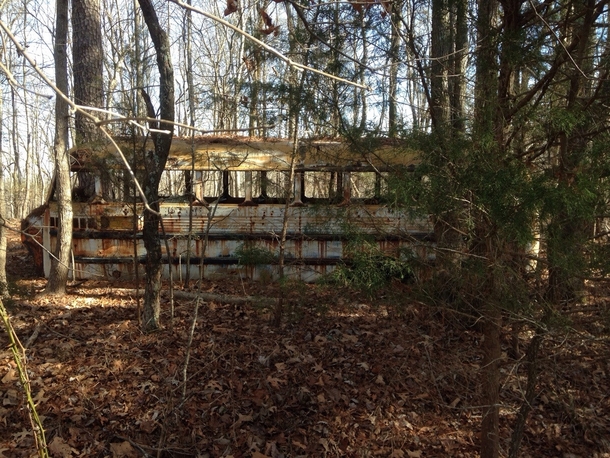 Abandoned school bus on the Tombigbee National Forest near Van Fleet Mississippi x