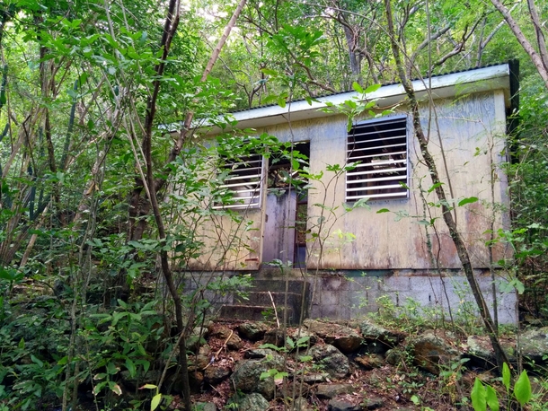 Abandoned shack in the jungle USVI  more in comments