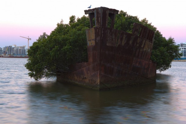 Abandoned ship Homebush Bay Australia x 