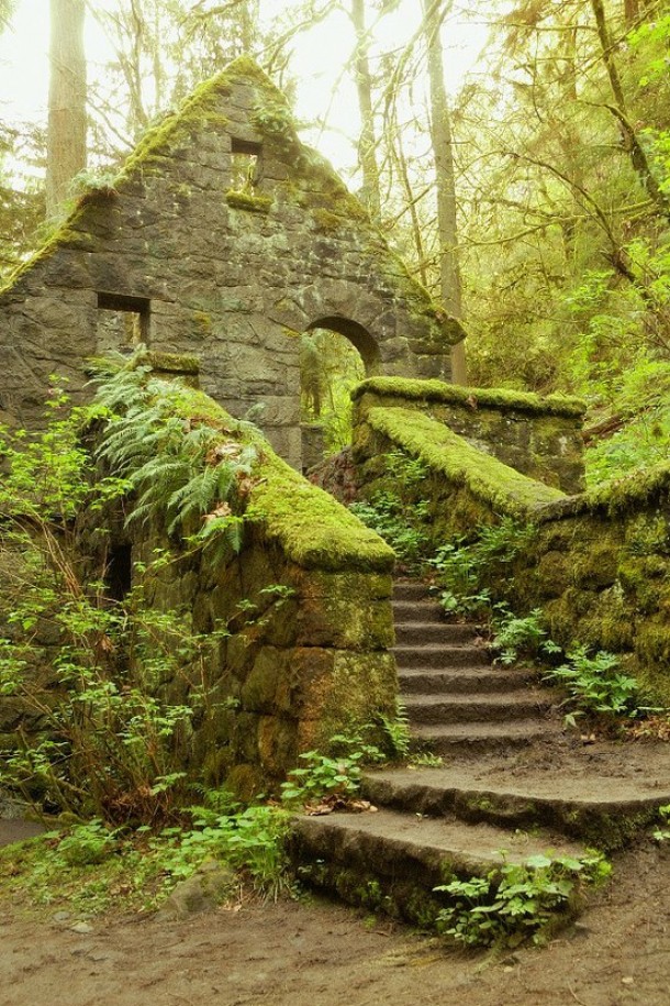 Abandoned Stone House in Balch Creek Canyon Portland Oregon 
