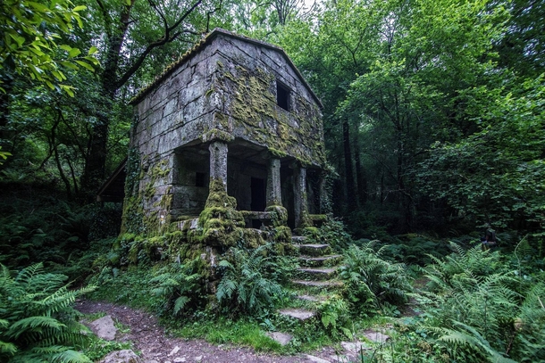 Abandoned structure in the forests of Galicia Spain