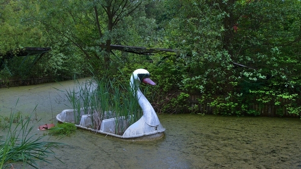 Abandoned Swan Boat