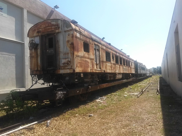 Abandoned train cars in Miami  - More in comments