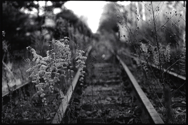 Abandoned Train Tracks in Massachusetts BW mm Film Print 